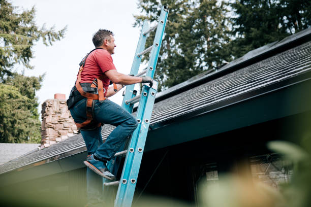 Best Roof Maintenance and Cleaning  in Ardmore, PA